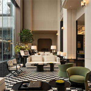 Hotel public area furniture
