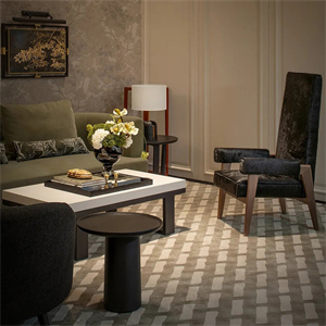 Modern luxury villa furniture